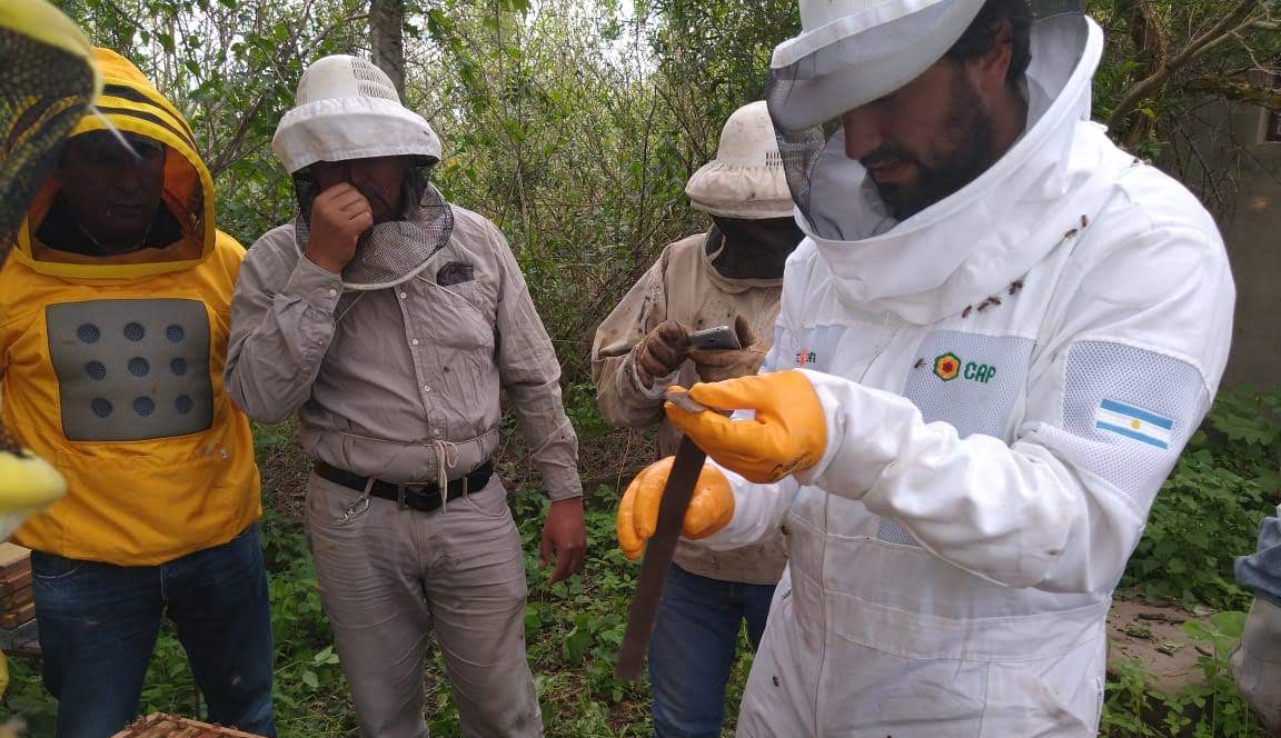 Traje De Apicultor Cuerpo Completo C/ Sombrero Y Herramienta