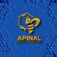 apinal