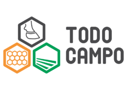 logo todo campo peru